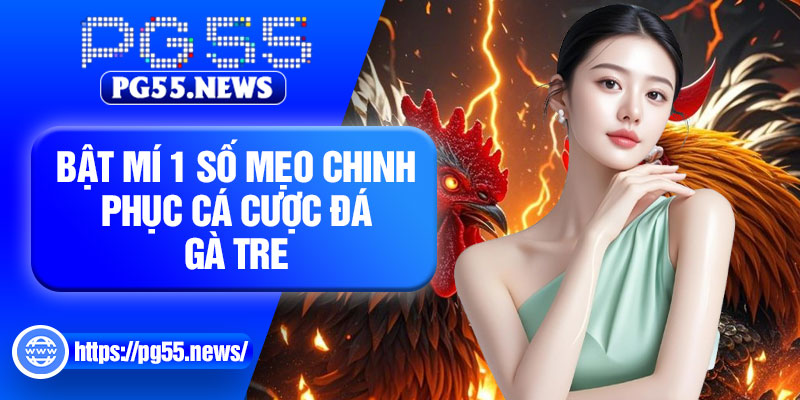 Bật mí 1 số mẹo chinh phục cá cược đá gà tre