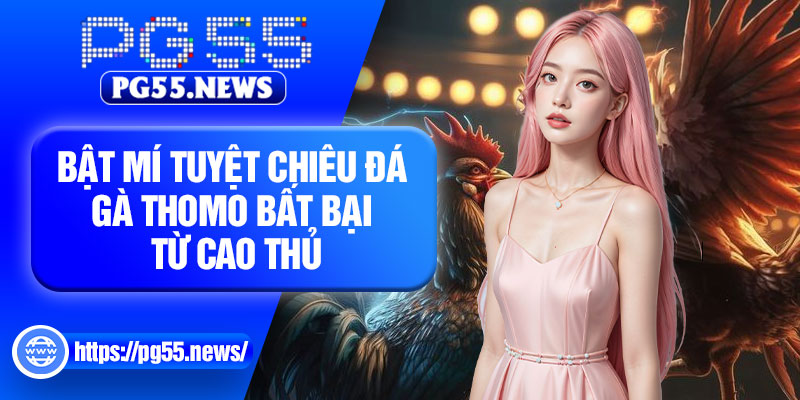 Bật mí tuyệt chiêu đá gà thomo bất bại từ cao thủ