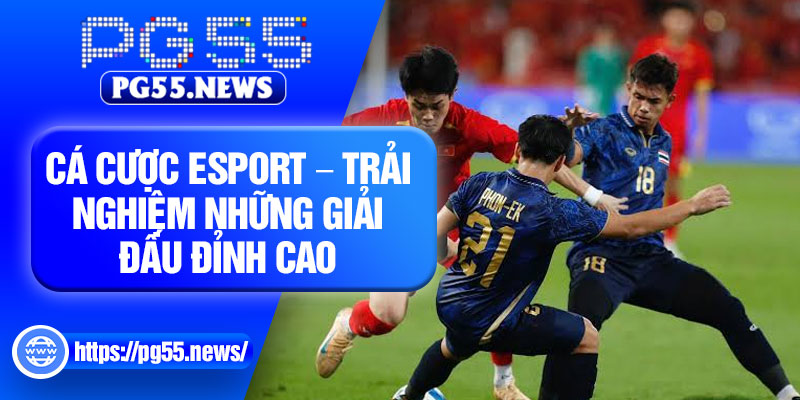 Ca Cuoc Esport – Trai Nghiem Nhung Giai Dau Dinh Cao