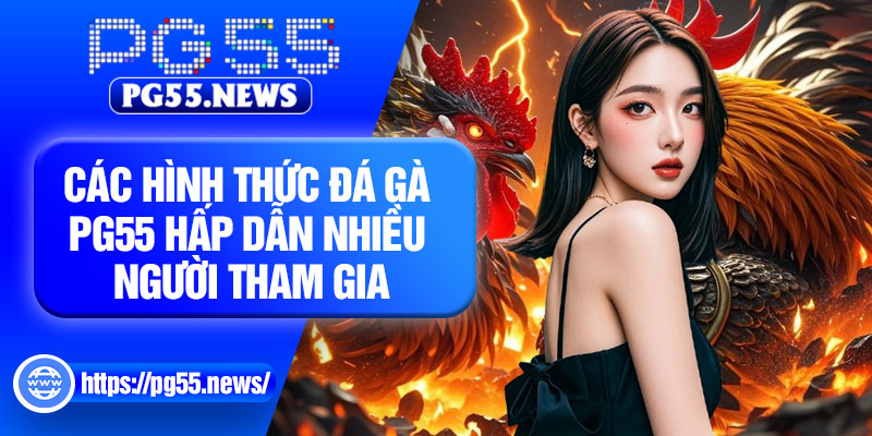 Các hình thức đá gà PG55 hấp dẫn nhiều người tham gia