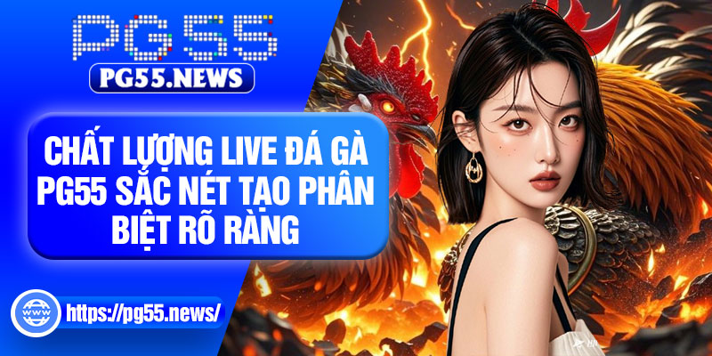 Chất lượng live đá gà PG55 sắc nét tạo phân biệt rõ ràng