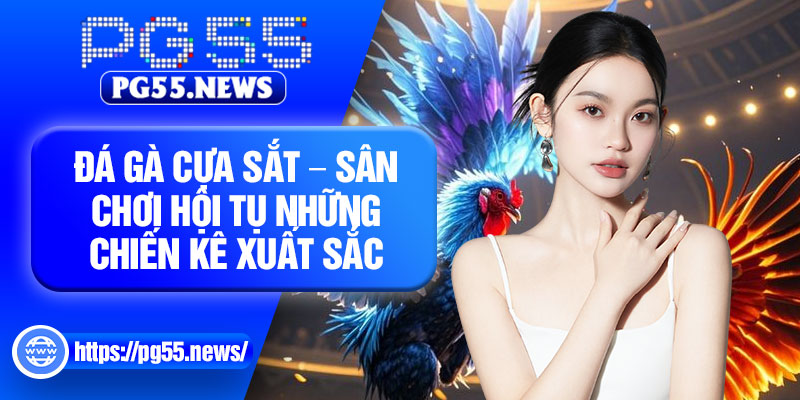 Da Ga Cua Sat – San Choi Hoi Tu Nhung Chien Ke Xuat Sac