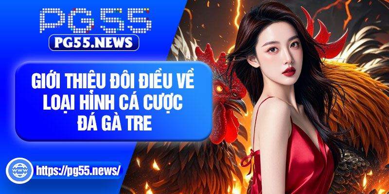 Giới thiệu đôi điều về loại hình cá cược đá gà tre