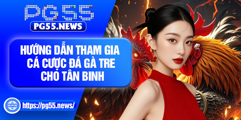 Hướng dẫn tham gia cá cược đá gà tre cho tân binh