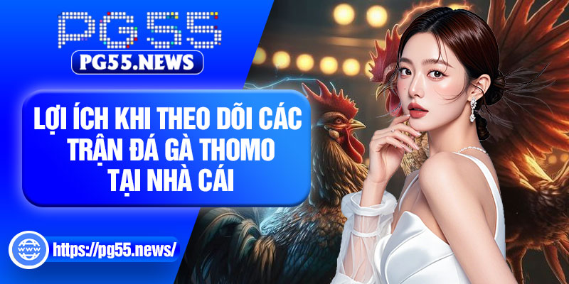 Lợi ích khi theo dõi các trận đá gà thomo tại nhà cái