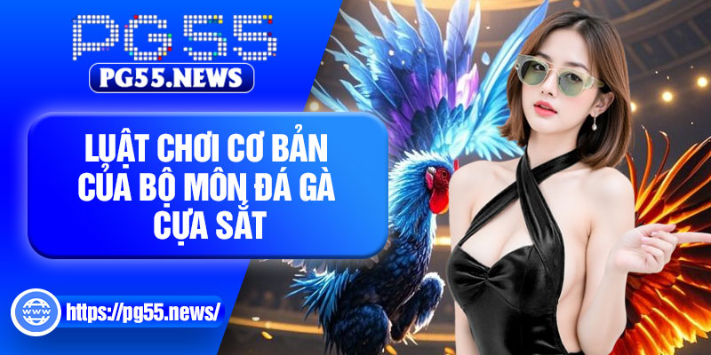 Luật chơi cơ bản của bộ môn đá gà cựa sắt