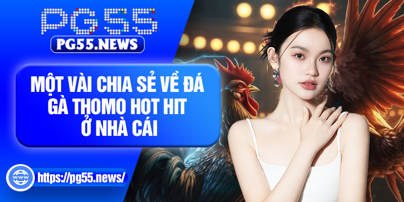 Một vài chia sẻ về đá gà Thomo hot hit ở nhà cái